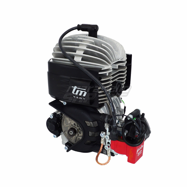 TM Mini3B Motor (Selettra) 2023